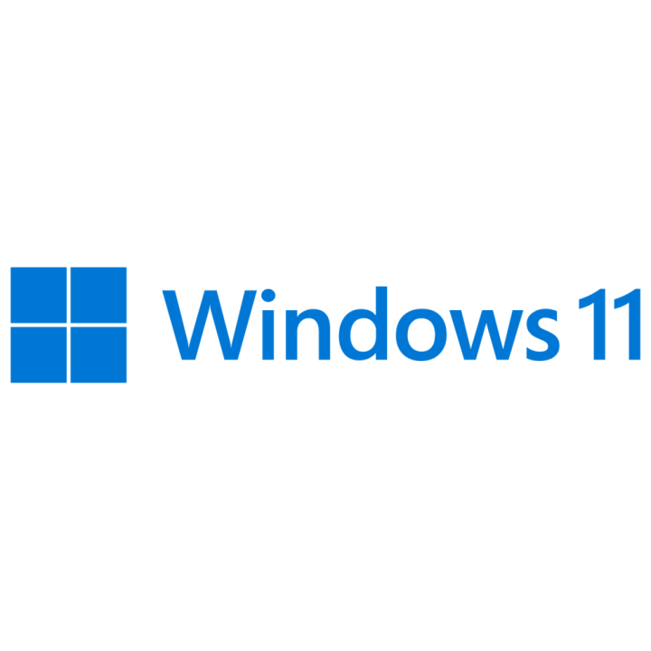 MS WINDOWS 11 HOME 64B DSP