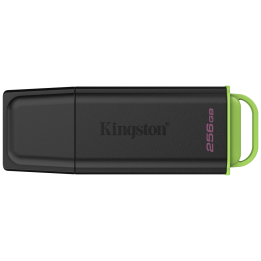 USB KINGSTON DATATRAVELER DTXG2 256GB USB3.2